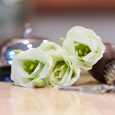 酒店 加尔达湖酒店 2*