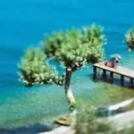 Del Garda